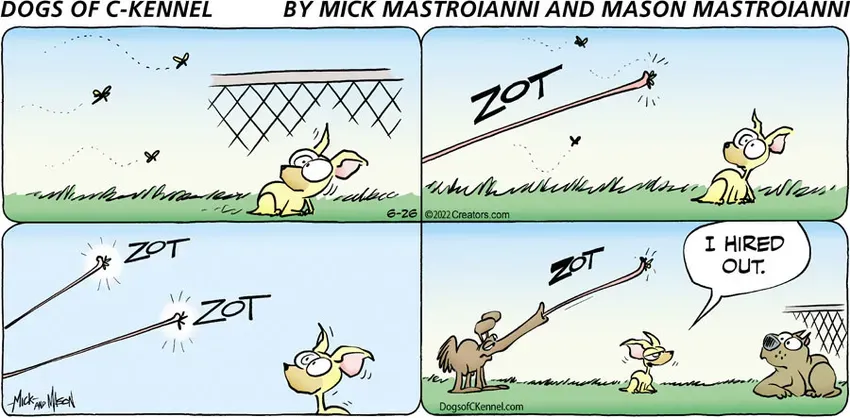 Dogs of C-Kennel for Jun 26, 2022