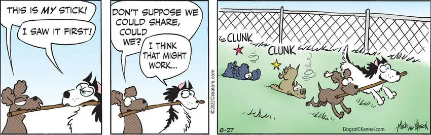 Dogs of C-Kennel for Jun 27, 2022