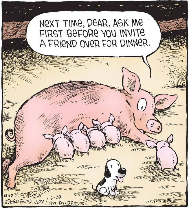 Speed Bump for Jun 28, 2024