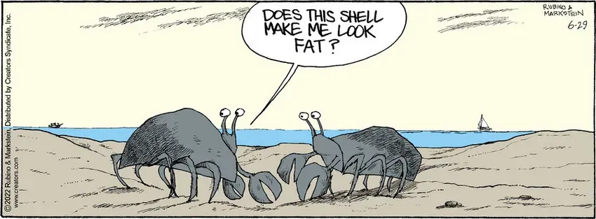 Daddy's Home for Jun 29, 2022