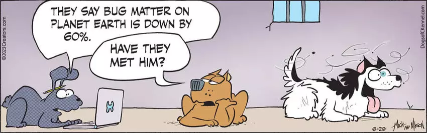 Dogs of C-Kennel for Jun 29, 2023