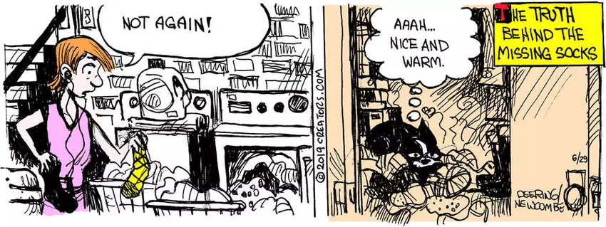 Zack Hill for Jun 29, 2023