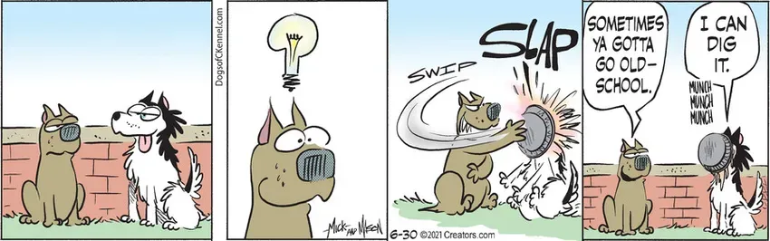 Dogs of C-Kennel for Jun 30, 2021