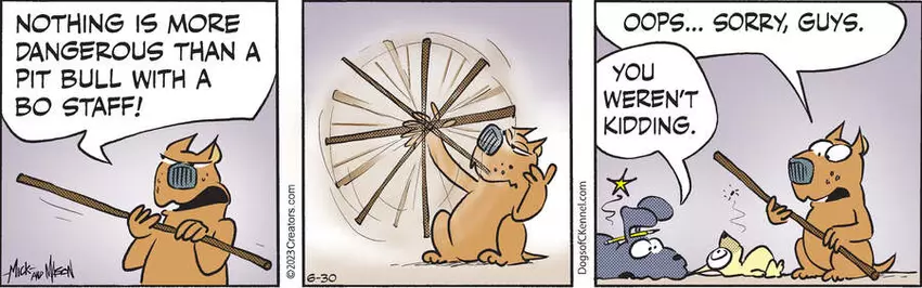 Dogs of C-Kennel for Jun 30, 2023