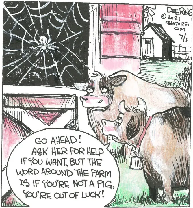 Strange Brew for Jul 01, 2021