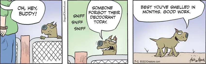 Dogs of C-Kennel for Jul 01, 2022