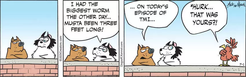 Dogs of C-Kennel for Jul 01, 2023