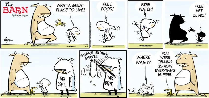 The Barn for Jul 03, 2022