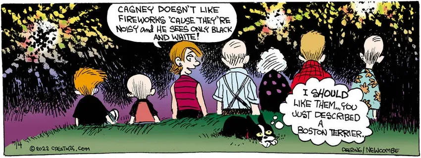 Zack Hill for Jul 04, 2022