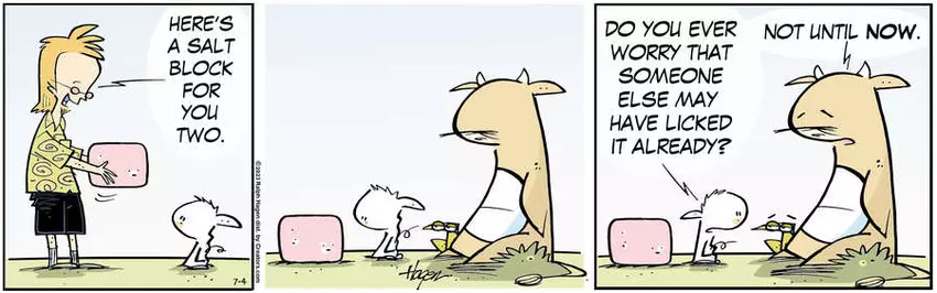 The Barn for Jul 04, 2023