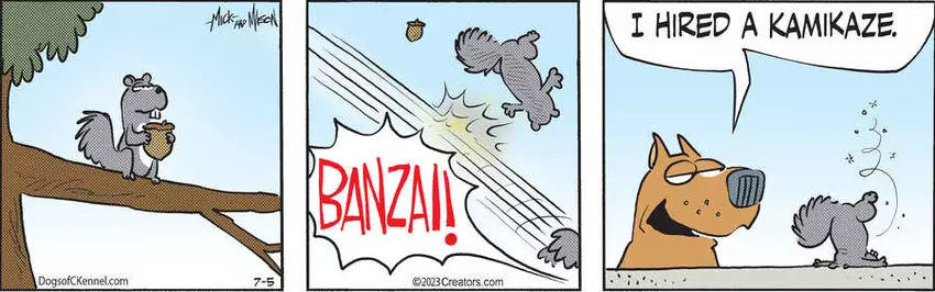 Dogs of C-Kennel for Jul 05, 2023