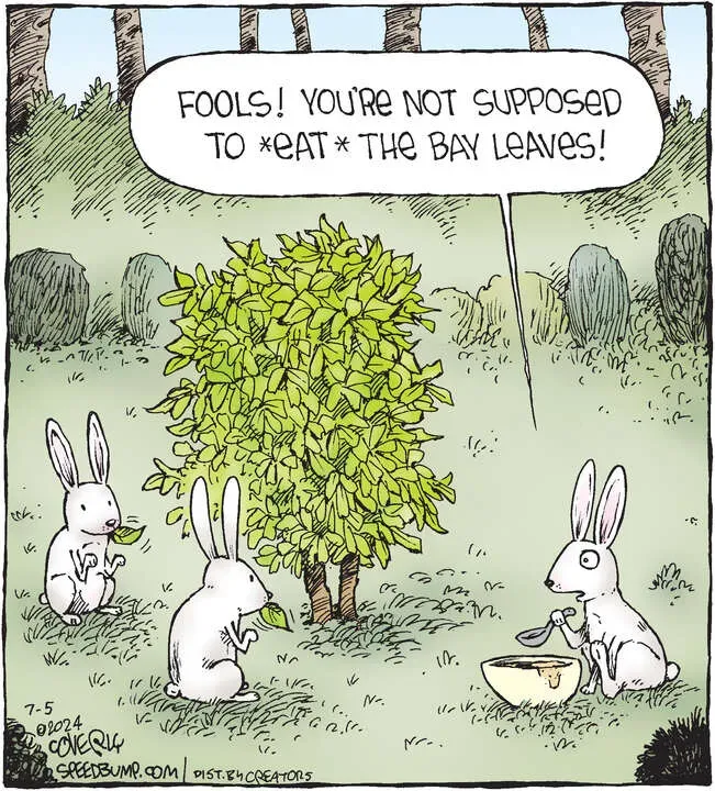 Speed Bump for Jul 05, 2024