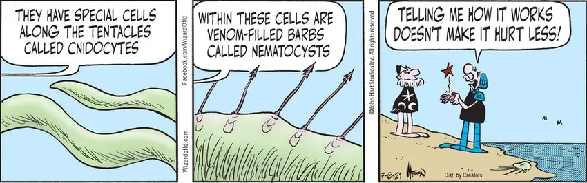 Wizard of Id for Jul 06, 2021