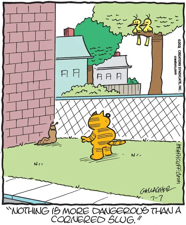 Heathcliff for Jul 07, 2021