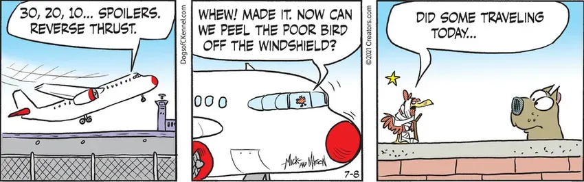 Dogs of C-Kennel for Jul 08, 2021