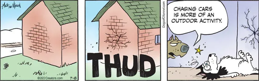 Dogs of C-Kennel for Jul 08, 2022