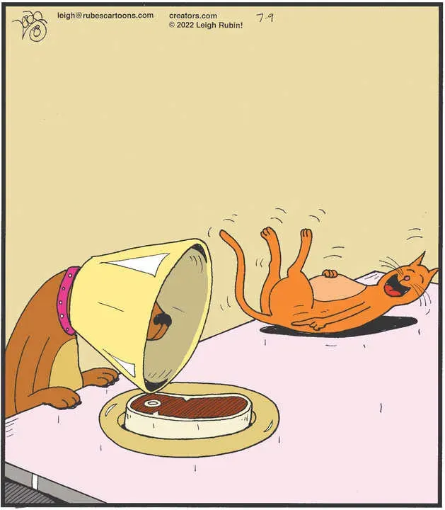 Rubes® for Jul 09, 2022