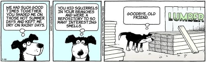 The Other Coast for Jul 10, 2021