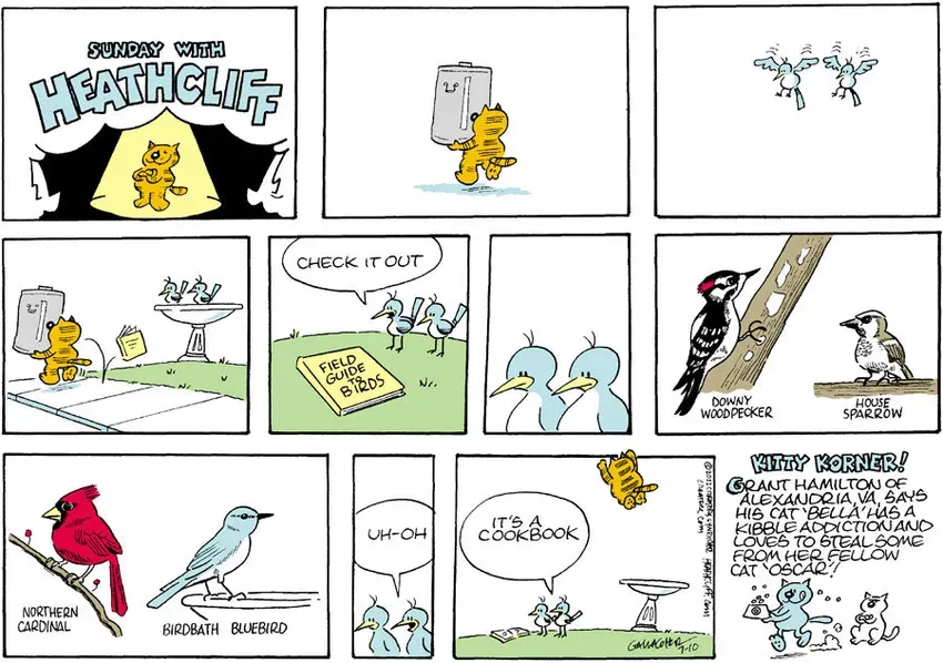 Heathcliff for Jul 10, 2022