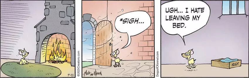 Dogs of C-Kennel for Jul 11, 2023