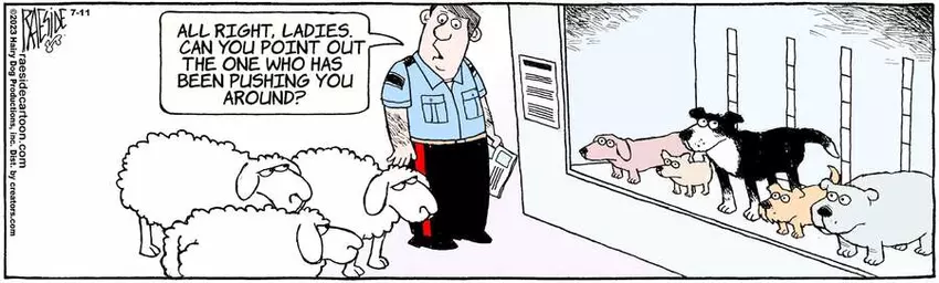 The Other Coast for Jul 11, 2023