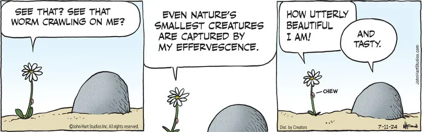 B.C. for Jul 11, 2024