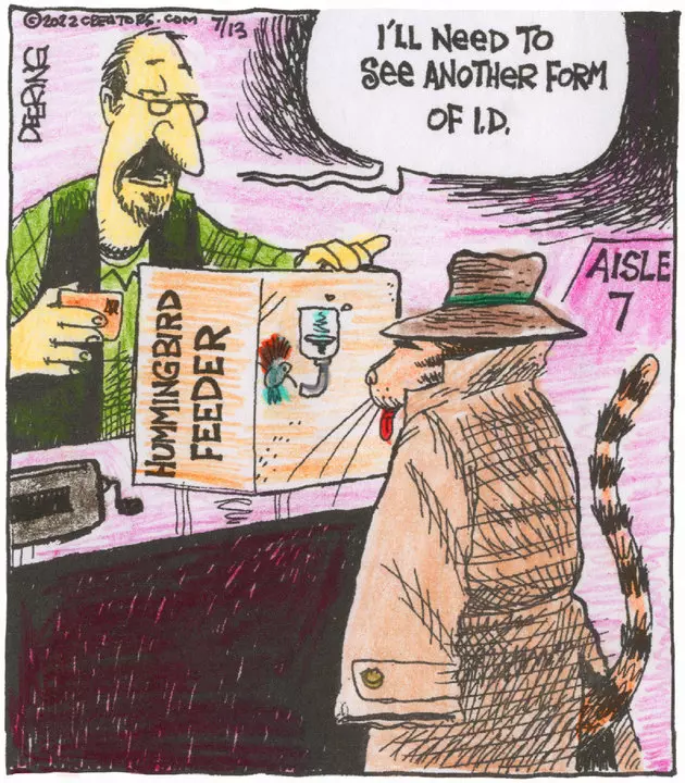 Strange Brew for Jul 13, 2022