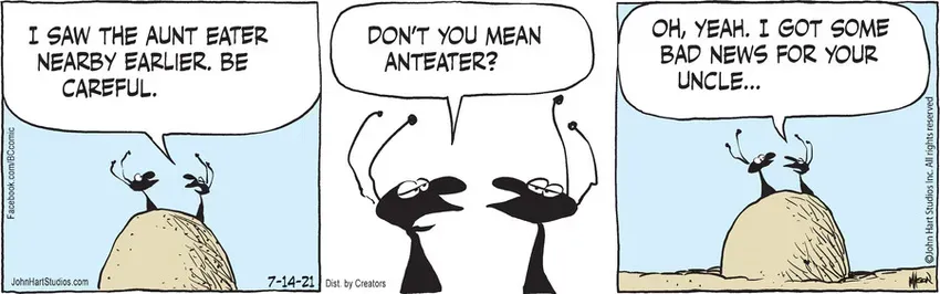 B.C. for Jul 14, 2021