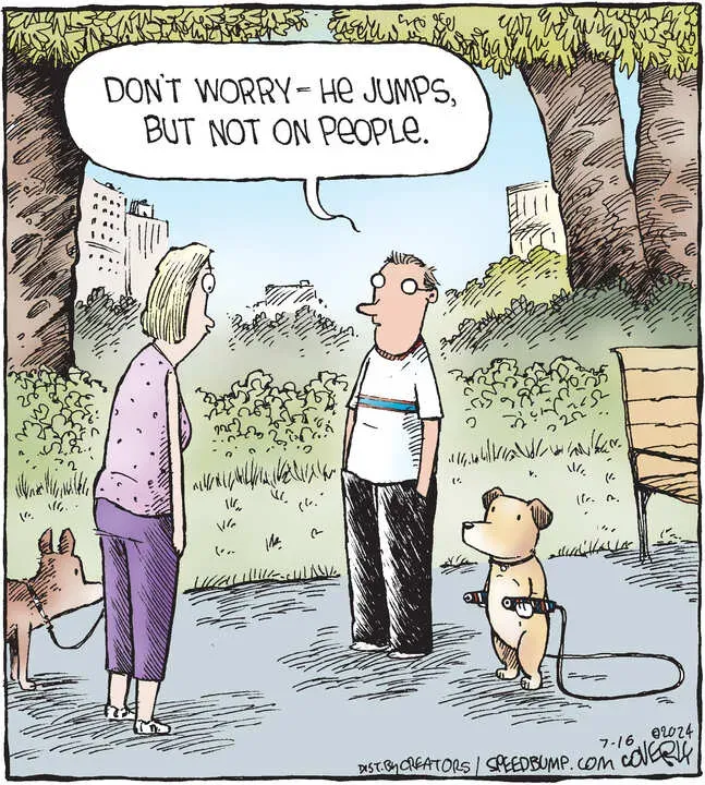 Speed Bump for Jul 16, 2024