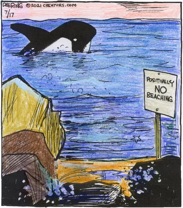 Strange Brew for Jul 17, 2021