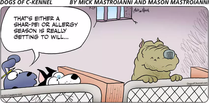 Dogs of C-Kennel for Jul 17, 2022