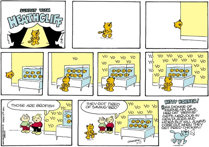 Heathcliff for Jul 17, 2022