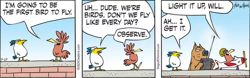 Dogs of C-Kennel for Jul 17, 2023