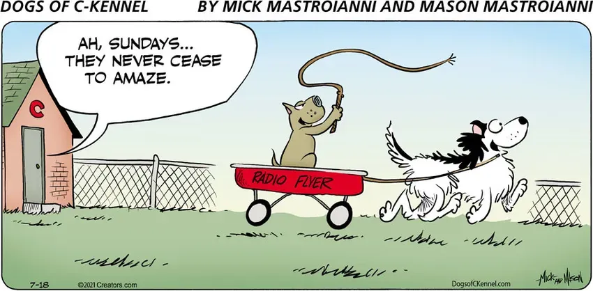 Dogs of C-Kennel for Jul 18, 2021