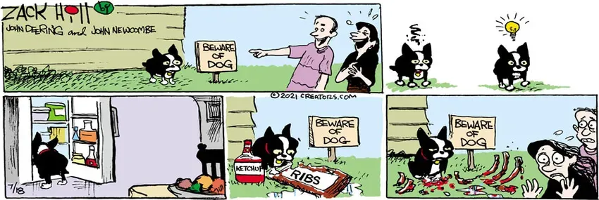 Zack Hill for Jul 18, 2021