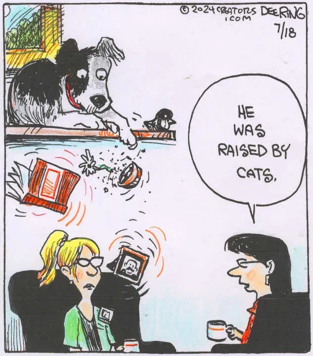 Strange Brew for Jul 18, 2024