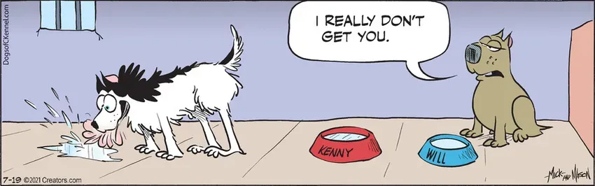 Dogs of C-Kennel for Jul 19, 2021