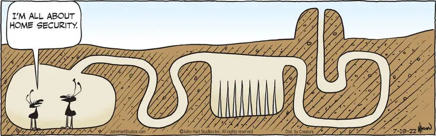 B.C. for Jul 19, 2022