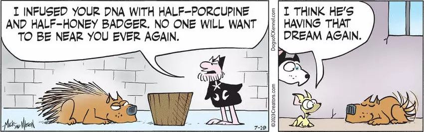 Dogs of C-Kennel for Jul 19, 2023