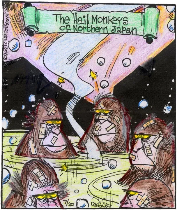 Strange Brew for Jul 20, 2021