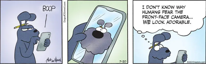 Dogs of C-Kennel for Jul 20, 2022