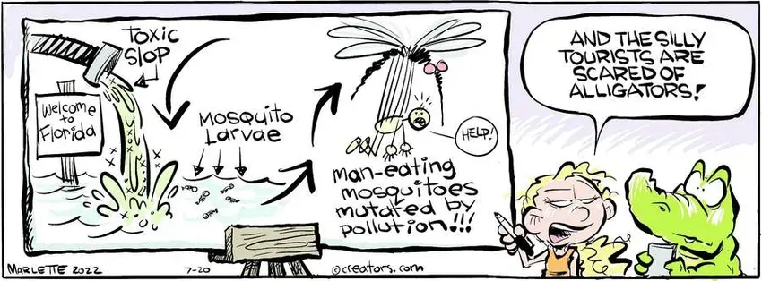 Shrimp and Grits for Jul 20, 2022