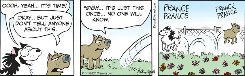 Dogs of C-Kennel for Jul 21, 2021