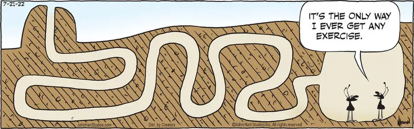 B.C. for Jul 21, 2022