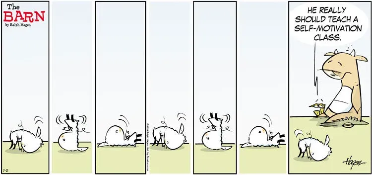 The Barn for Jul 21, 2024