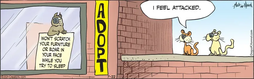 Dogs of C-Kennel for Jul 22, 2021