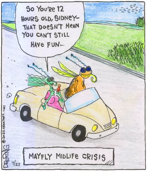 Strange Brew for Jul 22, 2022