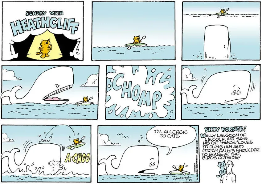 Heathcliff for Jul 24, 2022