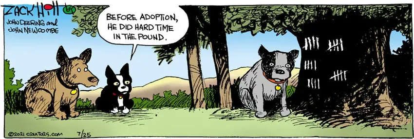 Zack Hill for Jul 25, 2021