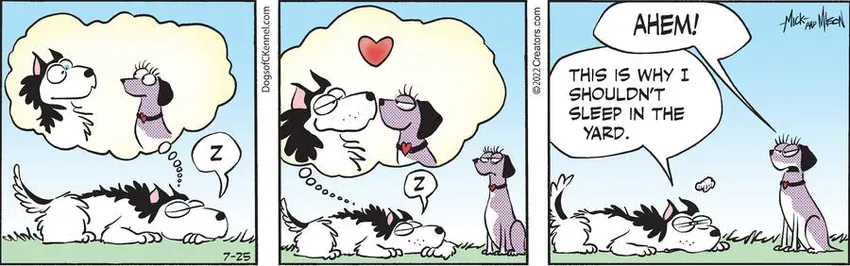 Dogs of C-Kennel for Jul 25, 2022